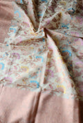 Semi organza saree
